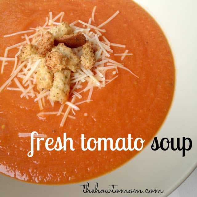 Fresh Tomato Soup With Garden Tomatoes – The How To Mom